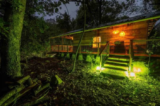 Matumi Trail Forest Lodges - Matumi and Mitzeeri