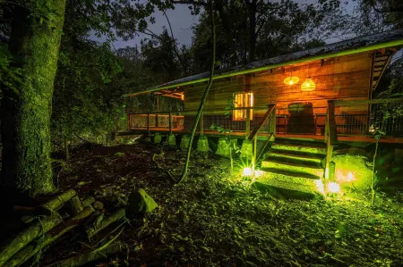 Matumi Trail Forest Lodges - Matumi and Mitzeeri