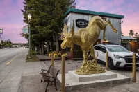 The Bucking Moose - pet friendly