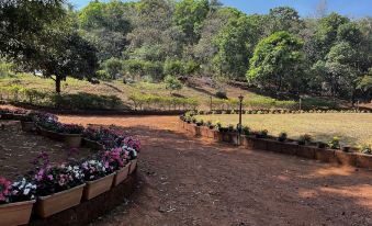 Forest Trails Adventure Resort