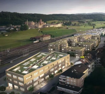 Ambrosia Guesthouse Hotels in Rheinfelden