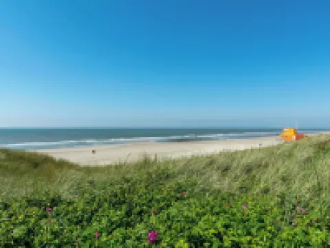 Sandepark 151 Villa for 8-Person with Large Garden Hotels in Callantsoog