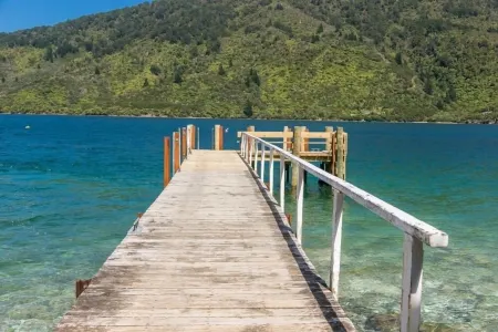 Endeavour Inlet Paradise- Expansive sea views in sunny, private  setting Отели в г. Пайнс