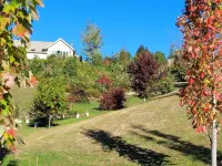 Redwood Lodge rural retreat with superb views Hotels in 