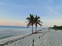 Truly ocean front penthouse in Playa del Carmen
