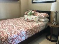 New 2BR villa w/ balcony near Cruz Bay Hotels in 