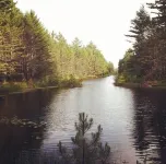 Lakeside Log Home, fireplace, snowmobile trails, parking, skiing, dog-friendly