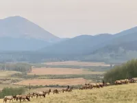 Ultimate Family Vacation Dream in our Cozy Cabin - Perfect for 2-3 Families