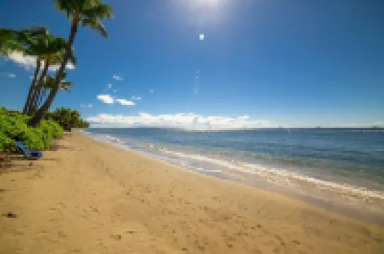 Lahaina Shores Beach Resort Studio