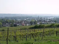 Living comfortably in Oberwalluf, enjoying the Rheingau, experiencing the Rhine - Main!