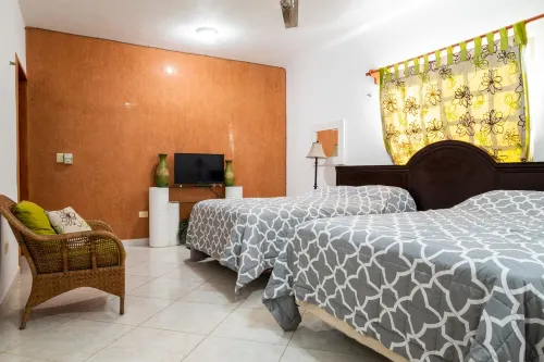 114Night Sep/Oct Ocean Beach Front 2 Bedrooms Villa Cozumel Snorkel Scuba Diving