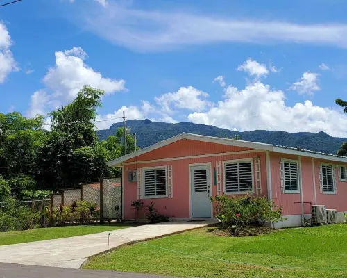 Live Tropical like a local , El Yunque Rainforest View, Mountain View
