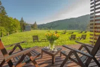 Hotel Spa Dr Irena Eris Krynica Zdrój - Mountain View