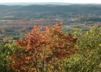 Alpine Haus Bed & Breakfast Inn Hotel di Warwick