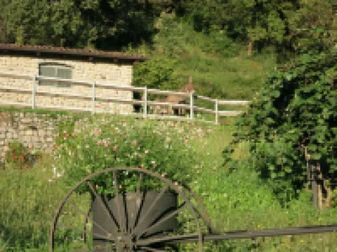 Agriturismo Deviscio B&B