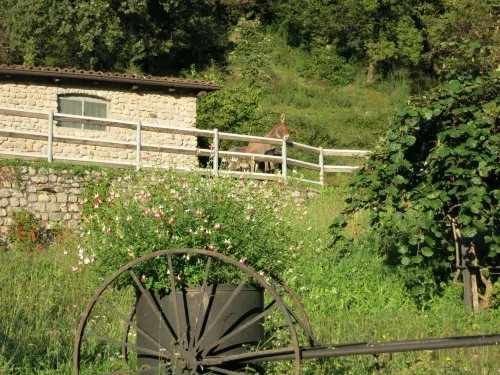 Agriturismo Deviscio