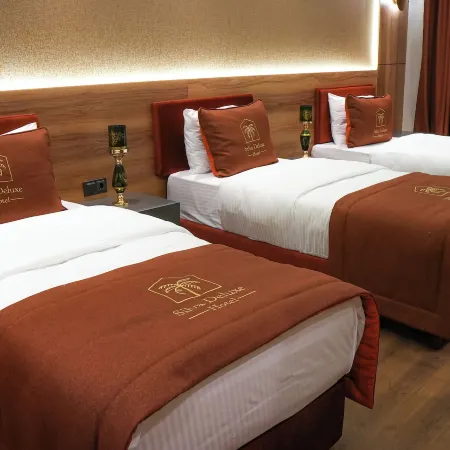 SİLVA Deluxe Hotel