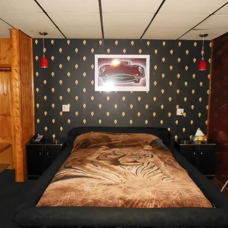 Motor Court Motel Отели рядом с достопримечательностью «Стадион «Ти-Ди Стэдиум»»