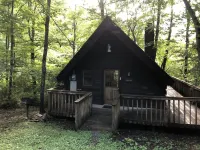 A Cabin in the Woods