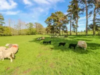 Herdie Hideaway Hotels in Appleby