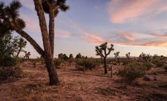 Mojave Mesa - Desert Views & Desert Style 1 Bedroom Home by RedAwning