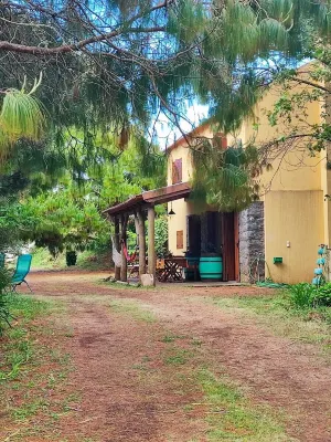 Casa de Campo a 9Km da Praia e do Aeroporto Funchal Ecological Park附近的飯店