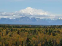 Denali Overlook Inn Hotels in Talkeetna