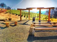Papillon Cellars - the Loft Hotels in Mariposa