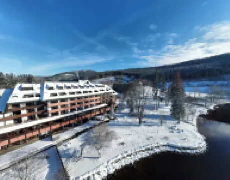 Maritim TitiseeHotel Titisee-Neustadt
