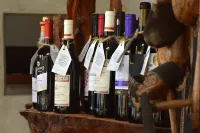 Naara Eco Lodge & Spa - bar