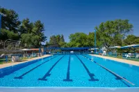 Kibbutz Malkiya Travel Hotel Hotels in Qiryat Shemona