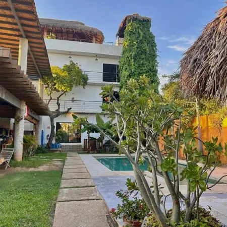 SurfNest Hostel