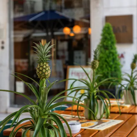 Brown's Boutique Hotel