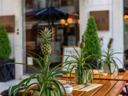 Brown's Boutique Hotel Отели рядом с достопримечательностью «Триумфальная Арка на руа Аугушта»