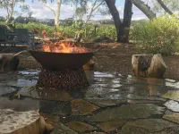 Azalea Cedar-Rose Barossa Valley Villa