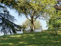 Ranocchio house, perfect retreat for a relaxing stay just a few steps from Rome Hotels in Sacrofano