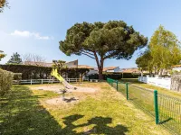 Les Palmyriennes