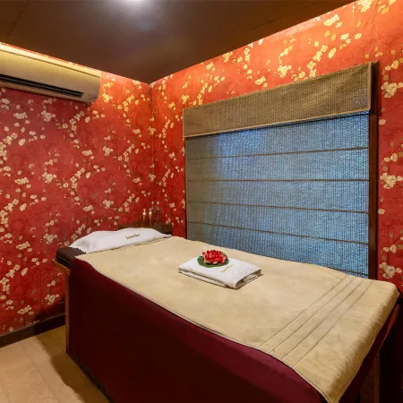 Radisson Srinagar