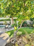 Golf, Tennis, and Hiking: Unveil the Desert Oasis!