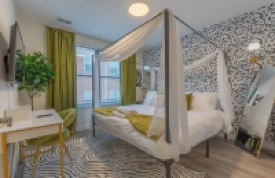 Opulence n Olive ~ 4bath, 10 beds+Park 2 cars FREE