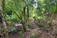 Treehouse in the Canopy close to beach - large garden with trails - Pavones wave Hotels in Pavones