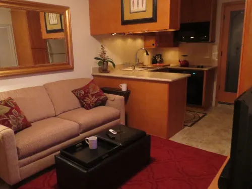 Beautiful Efficiency: full size kitchen, pet & 420  friendly, walk to everything