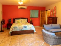 Exotic Iguana Apartmentos 1 Hotels in Esterillos Oeste