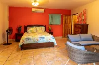 Exotic Iguana Apartmentos 1