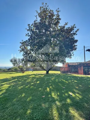 Federica Villa "UnaNotteaCasaMia" Hotels in Sacrofano