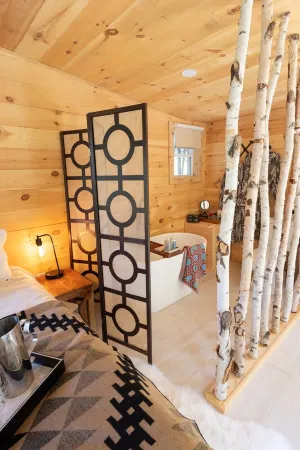 Cozy Adirondack Mountain Cottage with AC, WiFi