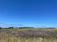 Apartment in Lagoa de Santo André. Between the Atlantic and the Alentejo plain. Hotels in Vila Nova de Santo Andre