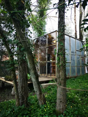 Green Box - be in Nature w/ Train to Porto Hotels in Valongo