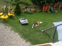 Amazing country house near Medellin and Guatape Hotels in Guarne