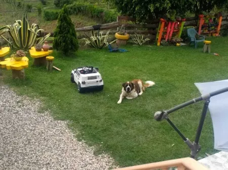 Amazing country house near Medellin and Guatape Отели в г. Гуарне